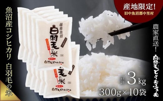 
【通年受付】≪令和5年産≫　農家直送！魚沼産コシヒカリ「白羽毛の米」精米 (300g×10袋) 3kg
