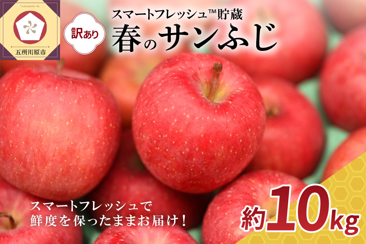 
【選べる配送時期】りんご春のサンふじ訳あり10kgスマートフレッシュTM貯蔵またはCA貯蔵
