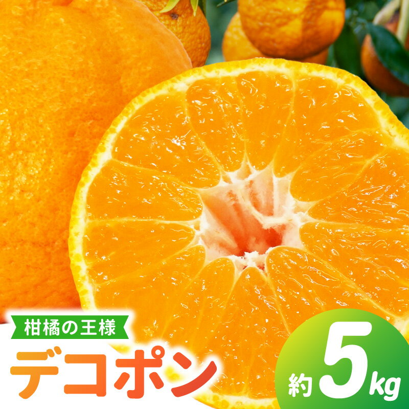 【ふるさと納税】先行予約 天草産 デコポン 5kg JA 本渡五和 みかん選果場 ジューシー 高糖度 多果汁 しっかりとした味わい 柑橘 果物 フルーツ 国産 みかん デザート 果実 食品 食べ物 旬 常温 九州 熊本県 天草市 お取り寄せ お取り寄せフルーツ 送料無料