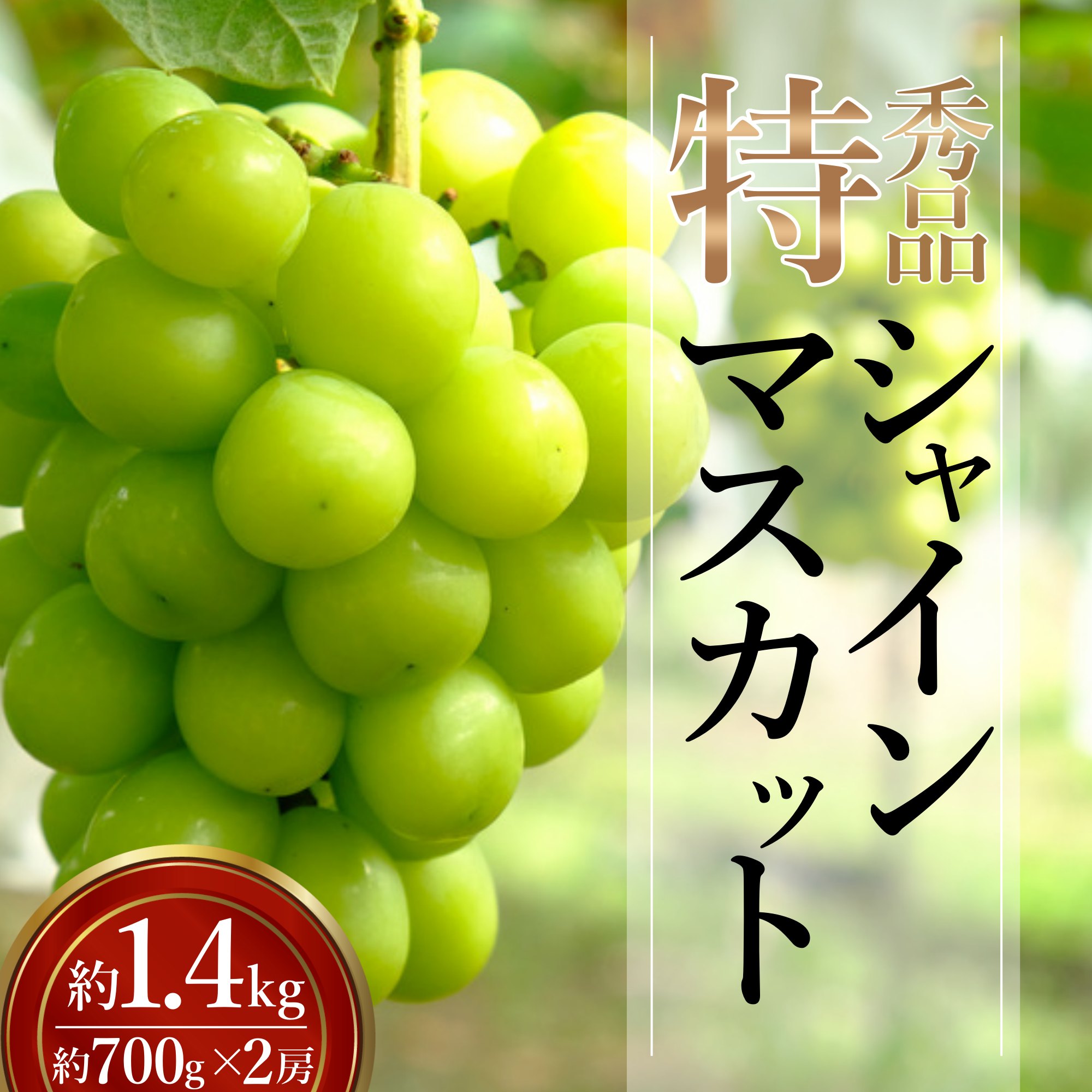 【ふるさと納税】【2026年発送】「特秀」シャインマスカット約1.4kg(約700g×2房)_H246(R8)