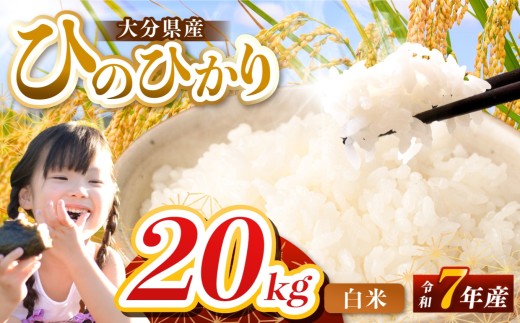 【令和7年産】大分県産 ヒノヒカリ 白米 20kg ( 5kg × 4袋 ) | お米 米 おこめ こめ 精米 ひのひかり 単一米 ご飯 九州産 国産 国産米 大分県米 九州米 大分県 中津市