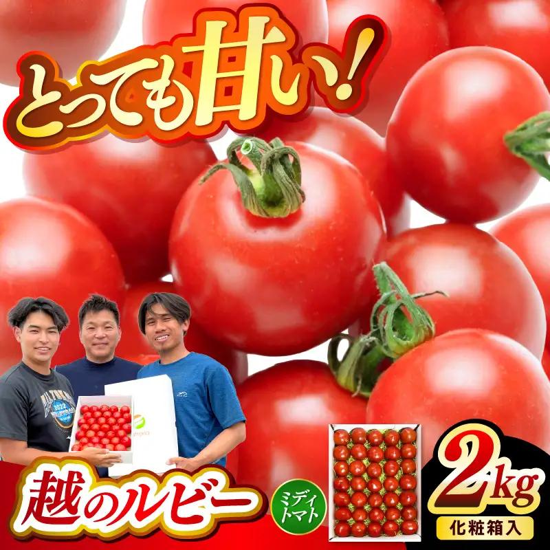 フルーツトマト 越のルビー 2kg 化粧箱入り 2026年10月上旬以降順次発送 とまと 野菜 [A-19103]