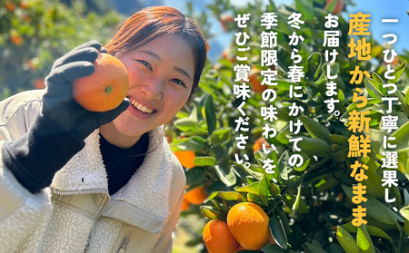 【先行予約】＜伊予柑 家庭用 約2.5kg＞ご家庭用 いよかん イヨカン みかん 蜜柑 柑橘 訳あり 果物 くだもの フルーツ ミカン 愛媛 国産 2.5キロ ジューシー 明浜 特産品 笑丸 愛媛県 