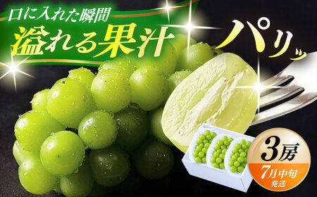 【先行予約・26年7月以降発送】日田産シャインマスカット3房(約1.5kg) ブドウ 葡萄 フルーツ 果物  シャインマスカット【配送不可地域：離島】 [ARET003]
