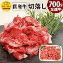 【ふるさと納税】大分県産 交雑牛 切落し 700g 国産牛 牛肉 お肉 切り落とし すき焼き 肉じゃが 牛丼 カレー 冷凍 国産 大分県 九州 送料無料