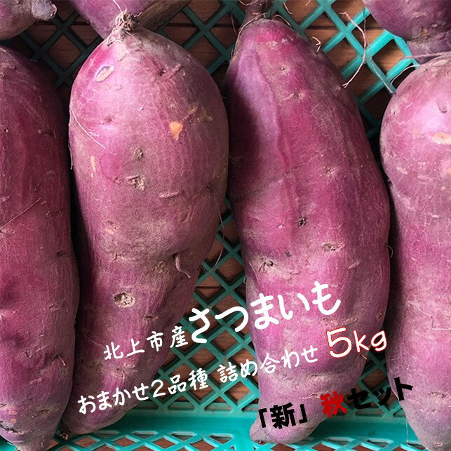 【ふるさと納税】【予約受付 2025年産 】 野菜ソムリエ 齋藤セレクト「新」秋セット さつまいも 2種 (約 5kg ) セット 国産 岩手 サツマイモ 芋 野菜 セット シルクスイート パープルスイート 紅あずま 紅はるか 安納芋 岩手県 北上市 C0308 齋藤 智仁 ※令和7年10月中旬発送