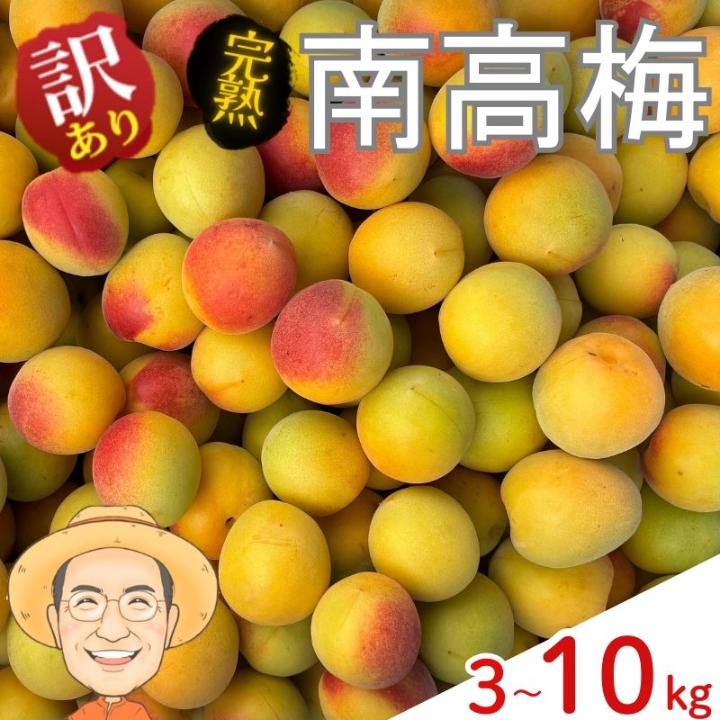 【ふるさと納税】【訳あり】完熟 南高梅 約3kg 約5kg 約10kg (＋保証100g) サイズ不揃い カキエモン農園 【2026年6月中旬～6月下旬頃順次発送】 和歌山産 梅干し 梅酒 梅シロップ 果実 うめ 梅 ウメ カキエモン 農園 送料無料 なんこううめ なんこうばい なんこう梅 加工用