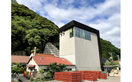 萩の地ビールを堪能！／チョンマゲビール定期便　12本セット×6回コース｜HG0T0437