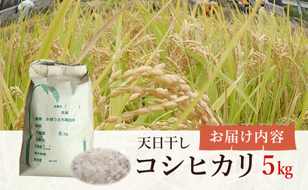 天日干しコシヒカリ5kg 兵庫県 洲本市 淡路島