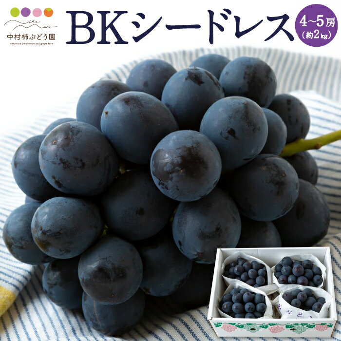 【ふるさと納税】【先行予約】中村柿ぶどう園 BKシードレス 4房から5房 (約2kg) 2025年8月中旬から9月上旬 出荷予定 種なし ぶどう 葡萄 フルーツ 果実 果物 冷蔵 送料無料 福岡県 うきは市