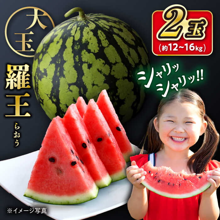 【ふるさと納税】【 先行予約 】 羅王 スイカ 2玉（約12kg～16kg）＜ファームまるだ＞ [CDT006] 長崎 西海 すいか スイカ 西瓜 羅皇 果物 フルーツ ギフト 贈答 夏