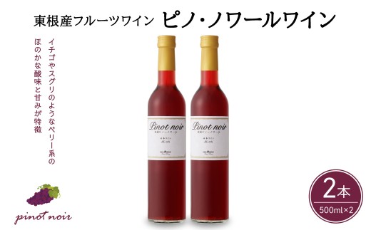 ピノ・ノワールワイン500ml×2本セット 山形県 東根市 合同会社 Fruit Winery Esprit提供 hi108-001
