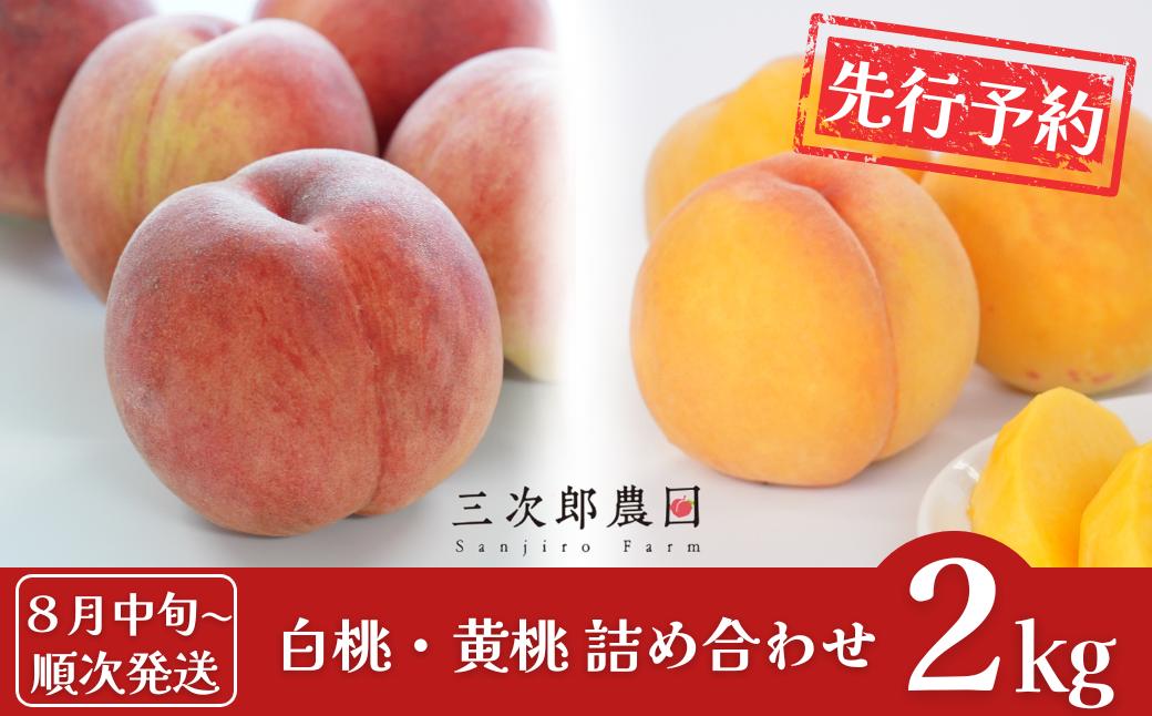 
            先行予約 白桃・黄桃詰合せ 約2kg(各3玉 計6玉入り) [8月中旬から発送予定] 令和7年度 贈答用桃 新潟県三条市産 桃 [三次郎農園]【013S133】
          