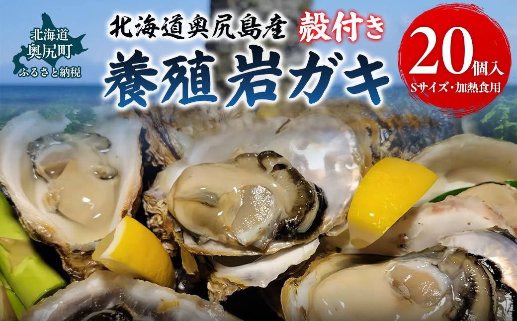 
            【先行予約 2025年7月20日より発送】奥尻島産養殖岩ガキ【Sサイズ】殻付き　20個入り（加熱食用）～豊かな海が育てた海の宝石～ 【 ふるさと納税 人気 おすすめ ランキング 岩ガキ 牡蠣 かき カキ 蒸しガキ カキフライ バター焼き 鍋 北海道 奥尻町 送料無料 】 OKUY004
          