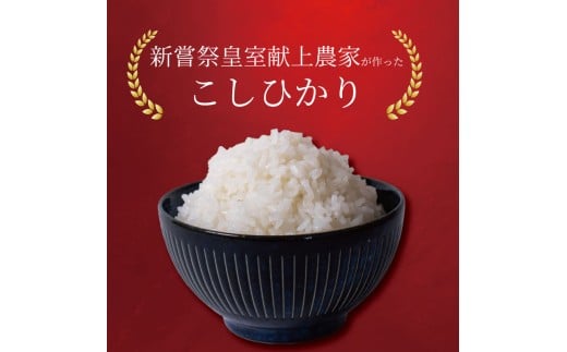 令和8年産 コシヒカリ 白米 4ヵ月連続 定期便 5kg × 4回 20kg 
