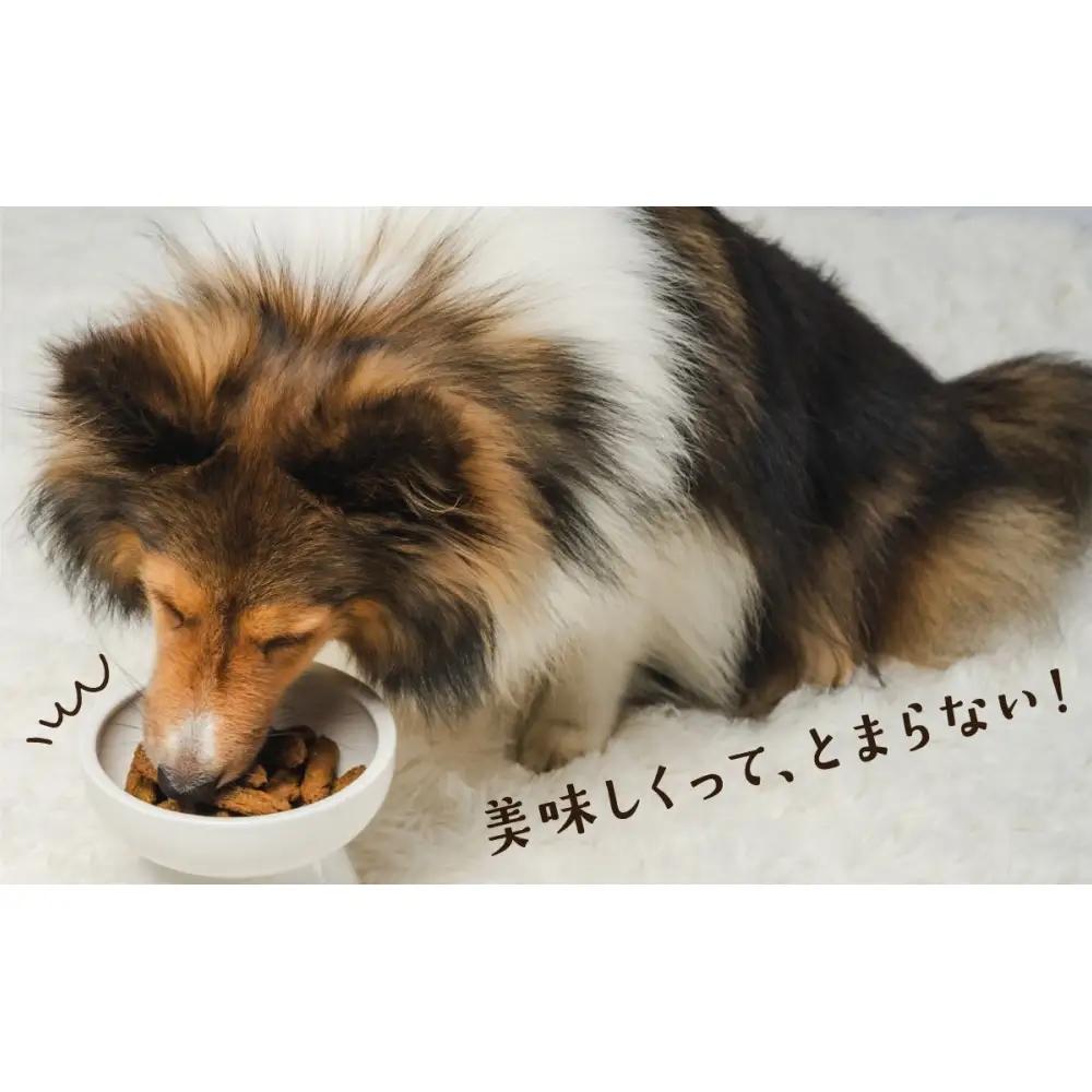 ワンちゃんのおやつ 鶏 豚 鰹 MIX ８袋 ドッグフード 犬 おやつ 無添加 グルテンフリー 国産