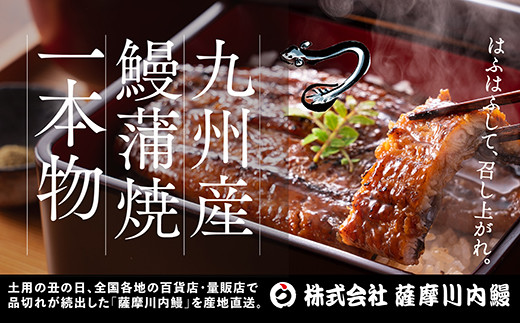 【3カ月定期便】国産うなぎ蒲焼（約170ｇ×5尾×3回）