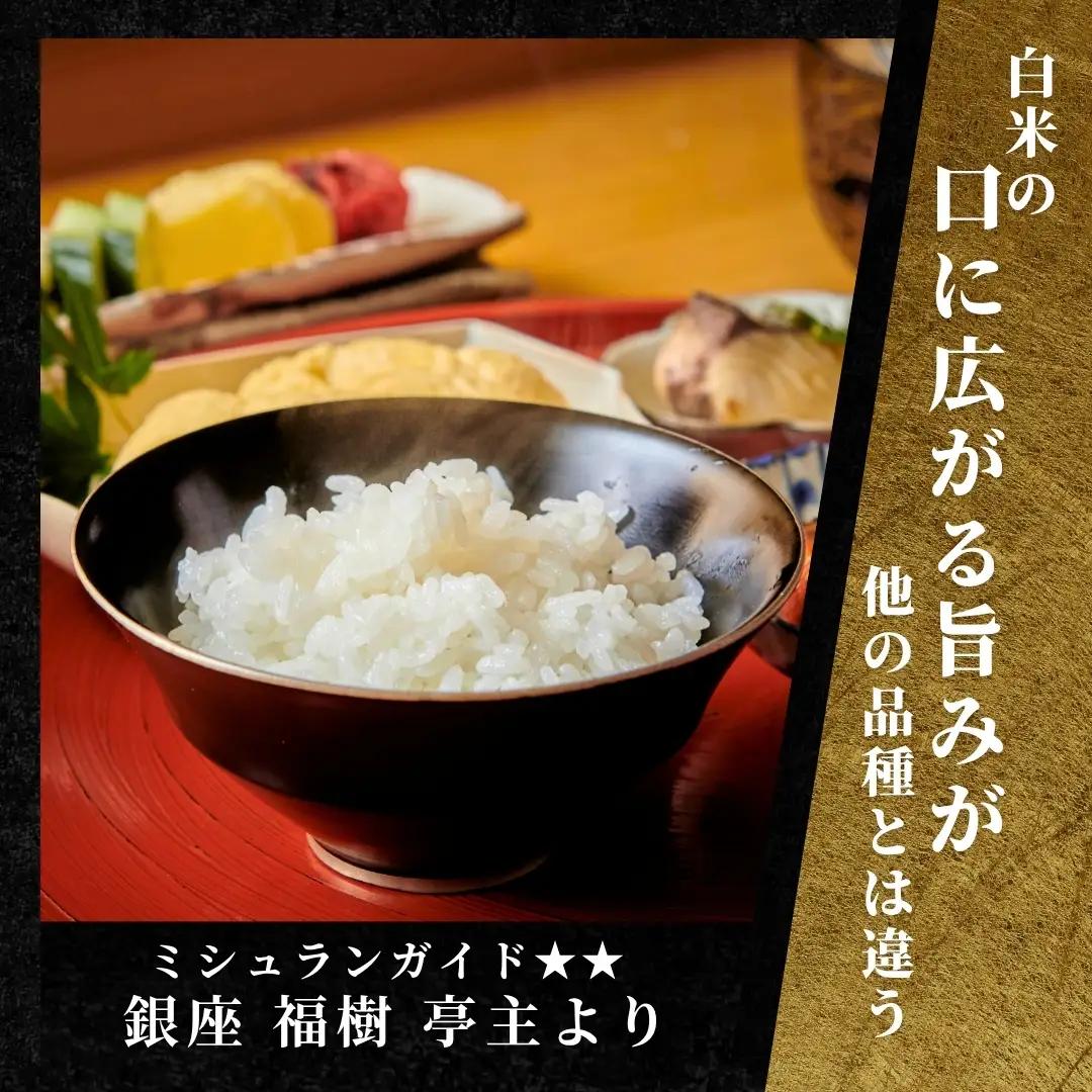 令和8年産 先行予約 12ヶ月定期便 魚沼産コシヒカリ 雪椿 5kg (5キロ×1袋) 特別栽培 | 魚沼 津南町