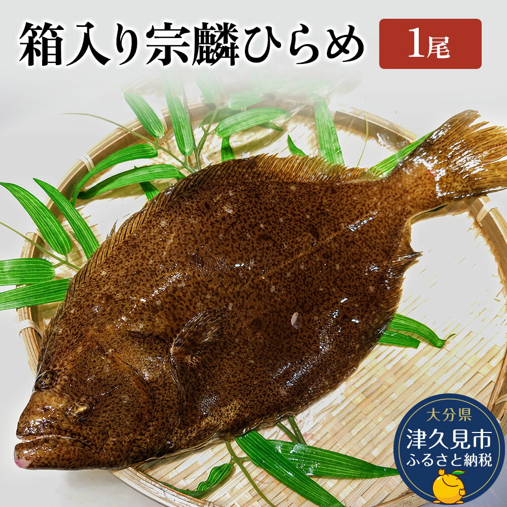 【ふるさと納税】箱入り宗麟ひらめ 1尾 ヒラメ 夫婦仲良く 平目 鮃 刺身 生魚 新鮮 大分県産 九州産 津久見市 国産 送料無料