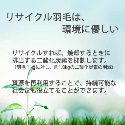 ザ・羽毛布団 リサイクルダウン ダブル 190×210cm 羽毛 掛け布団 立体キルト【1447532】