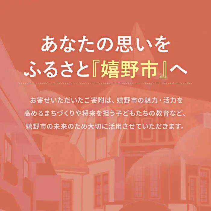 佐賀県嬉野市まちづくり応援寄附金 3千円分 NZY953 嬉野市 寄附金
