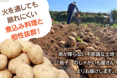 【先行受付】 じゃがいも ニシユタカ 10kg [宅島ファーム 長崎県 雲仙市 item1126] 野菜 ジャガイモ 10キロ 馬鈴薯 春じゃが 長崎県産 期間限定