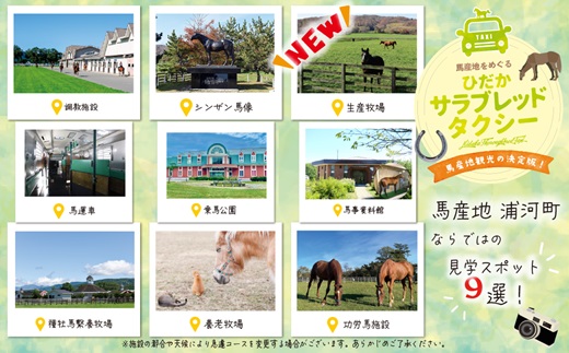 馬産地をめぐる「ひだかサラブレッドタクシー」3時間(1,2名様)コース[41-1102]_イメージ2