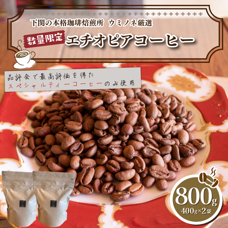 【ふるさと納税】 訳あり コーヒー 粉 800g ( 400g × 2袋 ) エチオピア 珈琲 ハンドドリップ 自家焙煎 焙煎 スペシャルティコーヒー 選べる 煎り方 深煎り 中煎り 浅煎り 飲料 限定 おうち時間 下関 山口