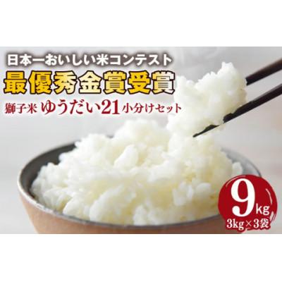 ふるさと納税 石岡市 獅子米 ゆうだい21 小分け セット 9kg (3kg×3袋)