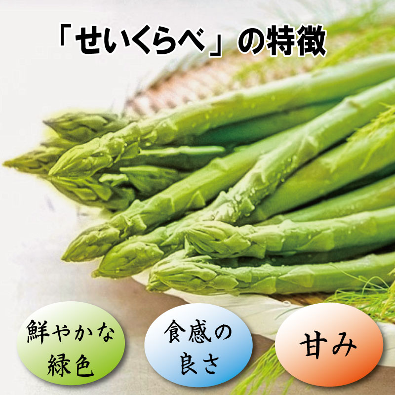 アスパラガス Lサイズ 1kg 2025年 4月から 発送 せいくらべ アスパラ 季節 春 野菜 新鮮 旬 煮物 炒め物 漬物 鍋 味噌汁 家庭用 弁当 惣菜 おかず 健康 栄養 Anto Farm 