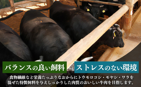 【定期便12回】国産牛 こまぎれ 600g(300gx2) ｜ 肉 にく ニク お肉 牛肉 黒毛 和牛 赤身 国産 大和牛 切り落とし こまぎれ バラ サーロイン ステーキ 盛合わせ 冷凍 奈良県 五