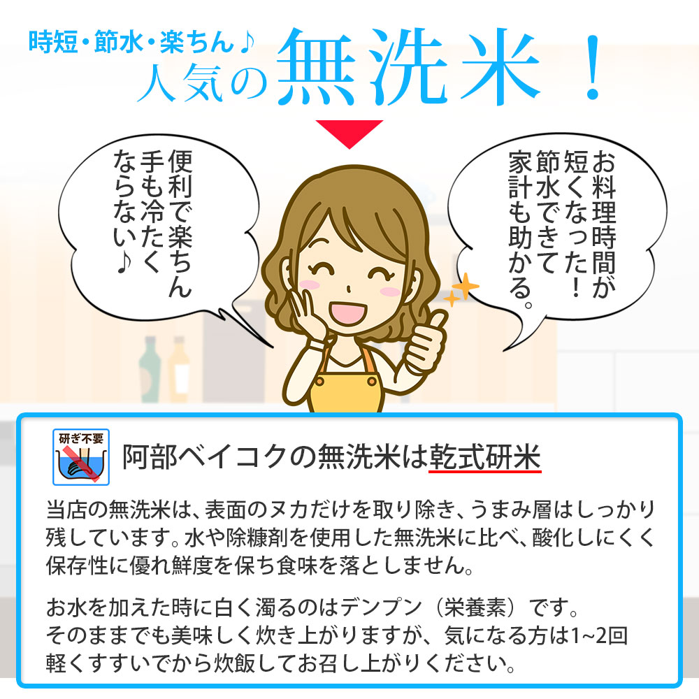 【12月～5月発送】無洗米 山形県産 はえぬき 5kg×6回【定期便6回】 [NM1-011(みかわ振興公社)] 【12月～5月発送】5kg×6回