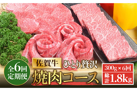 【2026年2月以降発送開始】【全6回定期便】佐賀牛希少部位含む?ひとり贅沢焼肉コース? ランプ/クリ/トウガラシ/ザブトン/カイノミなど【ミートフーズ華松】 ブランド 高級 和牛 霜降り BBQ やわらか 冷凍 料理  精肉 牛肉 希少 赤身 イチボ ランプ ミスジ [FAY072]