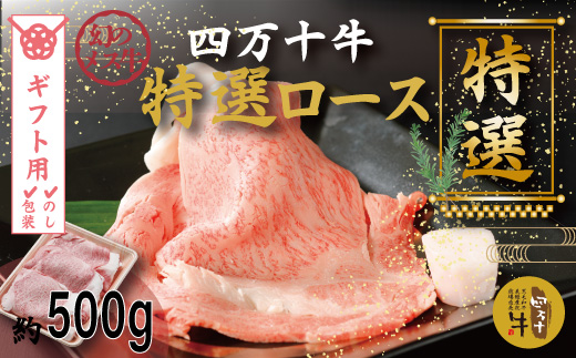 【ギフト用（包装・のし対応）】26-974G．幻のメス牛 四万十牛特選ローススライス（すき焼き・しゃぶしゃぶ用）約500ｇ