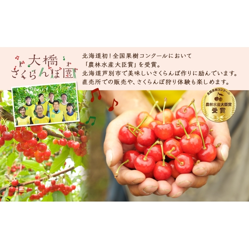 冷凍 さくらんぼ 160g × 6パック 赤ミックス 大橋さくらんぼ園 サクランボ チェリー 果物 果物類 フルーツ デザート 完熟 急速冷凍 新鮮 美味しい 人気 冷凍配送 北海道 芦別市_イメージ