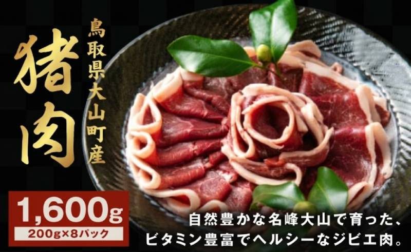 【ふるさと納税】GB-04 猪肉モモ 1.6kg イノシシ いのしし 猪 ジビエ 大山
