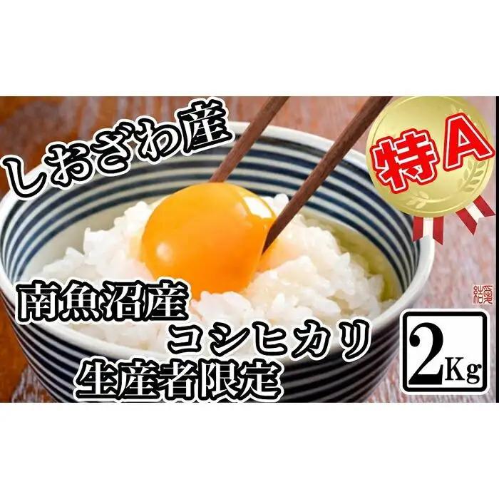 【令和7年産】【生産者限定 契約栽培】南魚沼しおざわ産コシヒカリ2kg【銘柄米 ブランド米 精米 こしひかり コシヒカリ 魚沼産 新潟米 産地直送 お米 米 こめ コメ ご飯 御飯 ごはん】