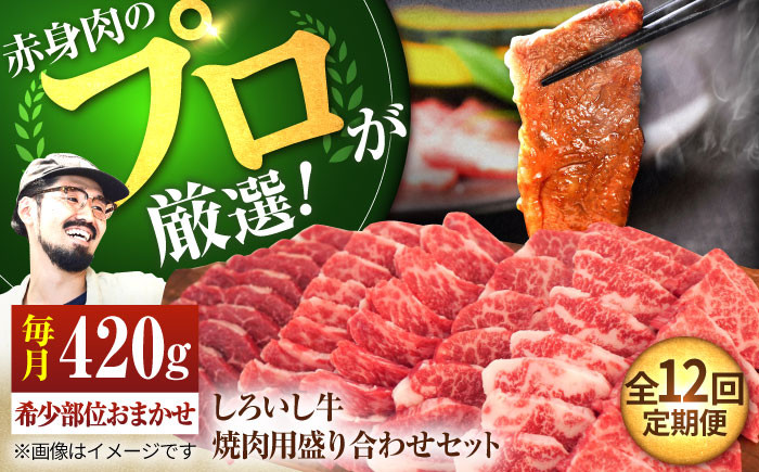 
                  【牧場直送】【12回定期便】佐賀県産 しろいし牛 焼肉用 盛り合わせ セット（希少部位）各回420g【佐賀セントラル牧場】佐賀県産 肉 お肉 牛肉 焼き肉 BBQ バーベキュー モモ カタ 肩 バラ 九州 佐賀県 白石町  白石 [IAH046]
                