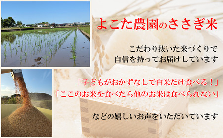 ☆令和7年産☆ コシヒカリ(玄米)　5kg | 米 こしひかり