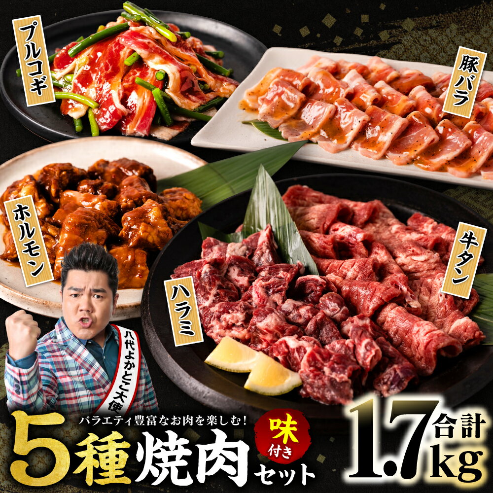 【ふるさと納税】【訳あり】焼肉 セット 5種盛り 計1.7kg 食べ比べ タン ハラミ ホルモン プルコギ 豚バラ 味付き 牛タン 牛肉 豚肉 冷凍 焼き肉 人気 BBQ オリジナルのタレ バラエティ豊富 ファミリーパック 晩酌 ビールのお供 送料無料