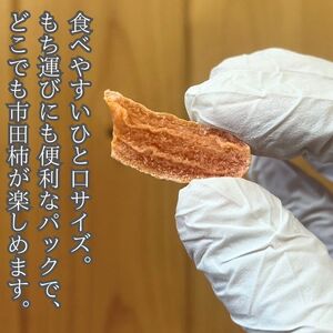 市田柿 柿チップ（100g×6袋）ひとくちサイズ