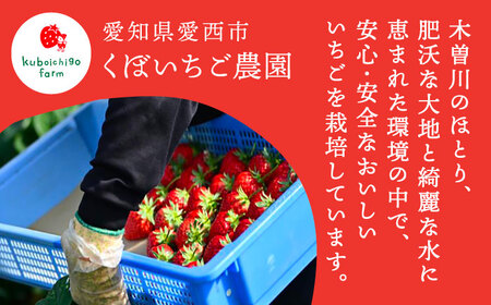 いちごジャム いちごバター いちごミルクの素 いちご尽くしセット 果物 フルーツ 紅ほっぺ 愛西市 / くぼ苺農園 【配達不可：離島】[AECJ021]