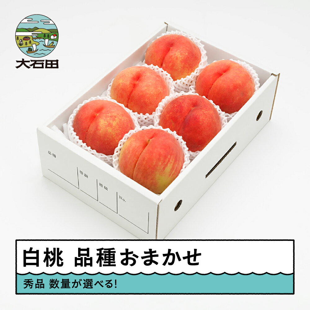【ふるさと納税】 【先行予約】 もも 白桃 秀品 品種おまかせ 化粧箱入り 数量選べる 2026年産 送料無料 フルーツ 果物 大石田 ns-mohtx※沖縄・離島への配送不可