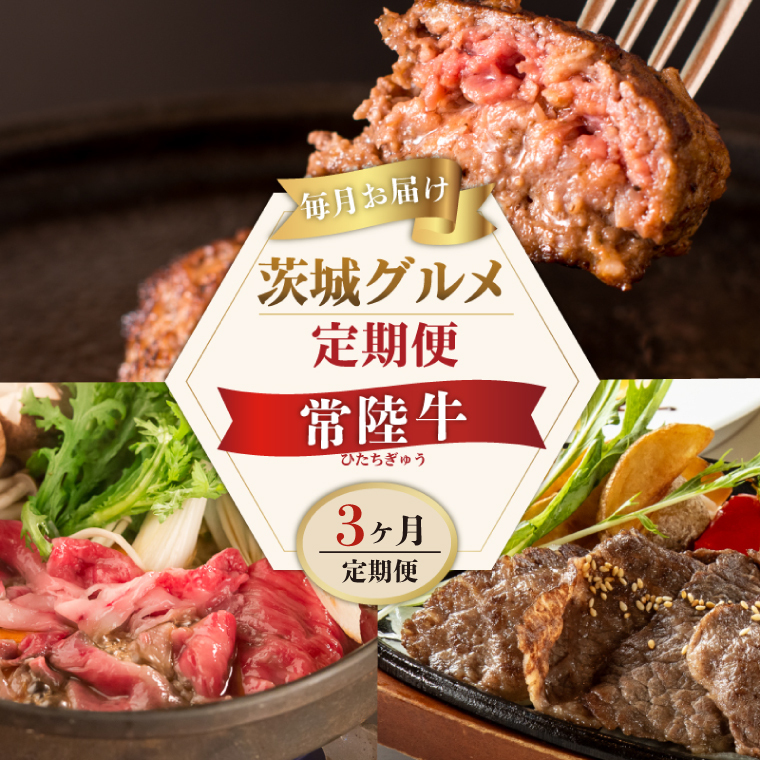 3ヶ月 定期便 Aコース 常陸牛100%無添加ハンバーグ4個 焼肉 すき焼 肉のイイジマ (DU-103)