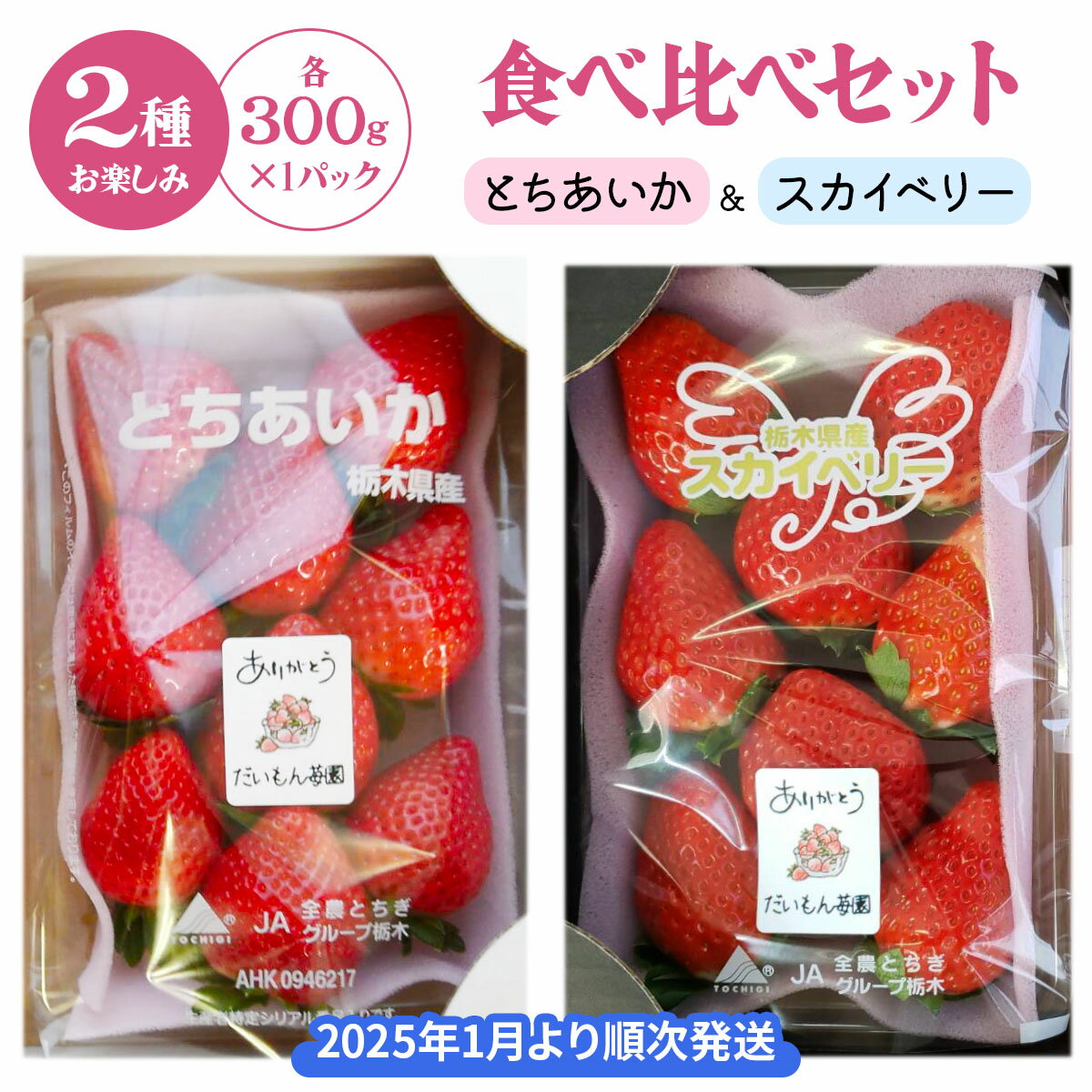 【ふるさと納税】[先行予約] 2種お楽しみ食べ比べセット「とちあいか＆スカイベリー」計300g×2パック [2026年1月上旬より順次発送]｜先行予約 期間限定 とちあいか スカイベリー ミルキーベリー いちご イチゴ 苺 フルーツ 果実 スイーツ 日光市産 栃木県産 産地直送 [0457]