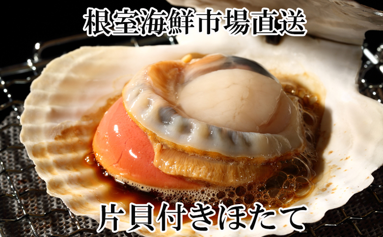 ＼漁業者応援品／根室海鮮市場＜直送＞片貝ほたて10枚×2袋 A-28124