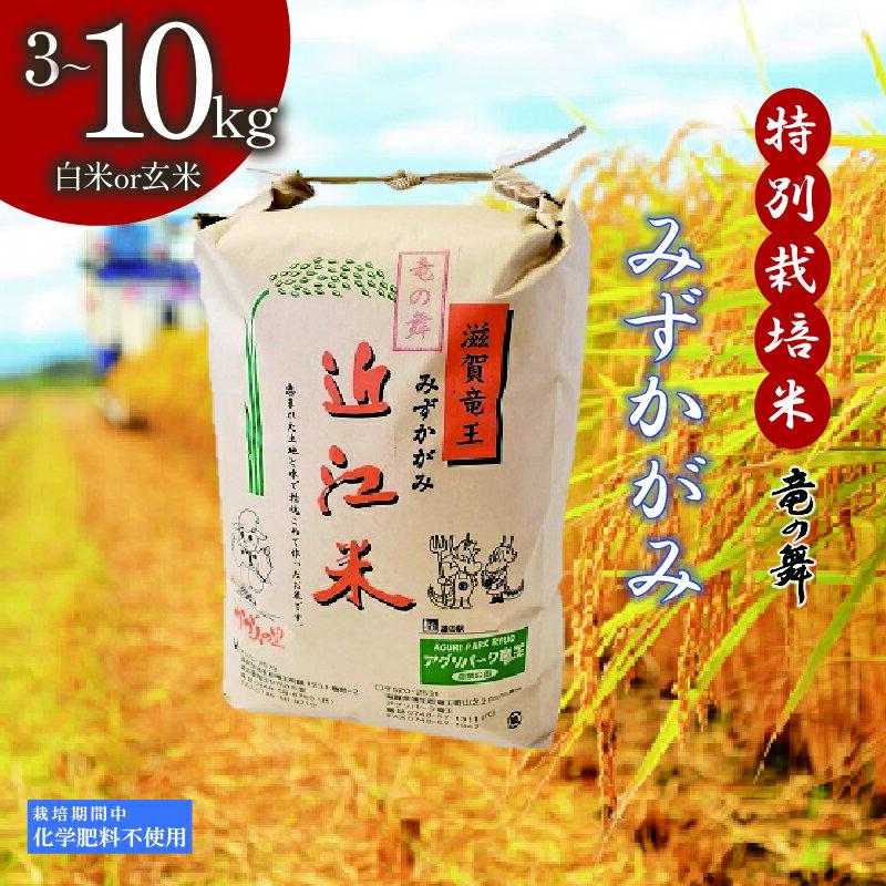 【ふるさと納税】 みずかがみ 白米 or 玄米 3kg ~ 10kg 2025年産 竜の舞 特別栽培米 国産 安心 安全 近江米 米 お米 白米 お弁当 玄米 産地直送 滋賀県 竜王町 送料無料