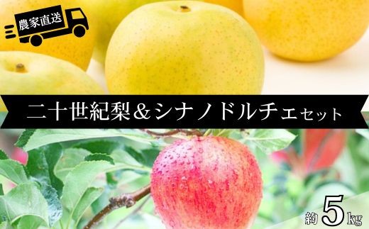 HF36【長野県松川町産】農家直送！2品種楽しめる二十世紀梨&シナノドルチェセット 約5kg／9月中旬発送開始予定 // 長野県 南信州  減農薬栽培 りんご シナノドルチェ 洋梨 二十世紀梨 20世紀 ２０世紀
