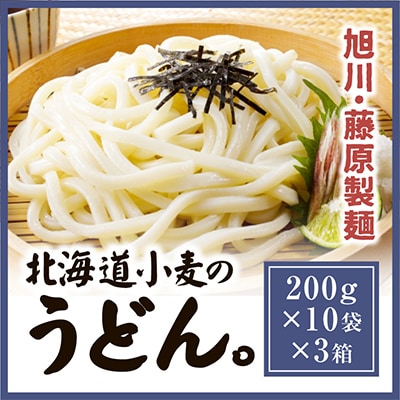 北海道 旭川市 藤原製麺 製造 うどん 乾麺_03483【1481596】