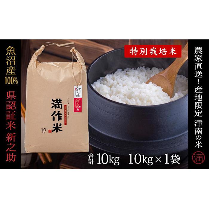 【ふるさと納税】【2025年産新米】【県認証】魚沼津南産新之助 10kg(10kg×1袋) 選べる配送回数 産地限定！農家直送